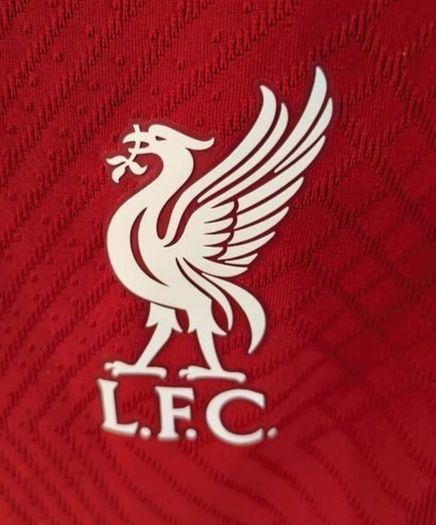 Liverpool 2022 home shirt jersey Dri Fit Adv Nike
