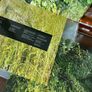 Battles - Ep C / B Ep Image 10