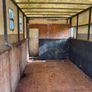Cattle body Image 7