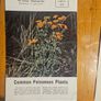 Vintage Department Of Agricultural Pamplets,and Leaflets X 13. In Good Condition.  See Photos For Same. Image 5