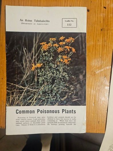Vintage Department Of Agricultural Pamplets,and Leaflets X 13. In Good Condition.  See Photos For Same.