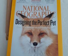 National geographic magazine 2011 in wrapping