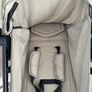 Travel Buggy Image 2
