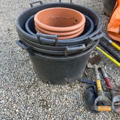plant pots