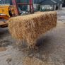 last year's barley straw Image 2