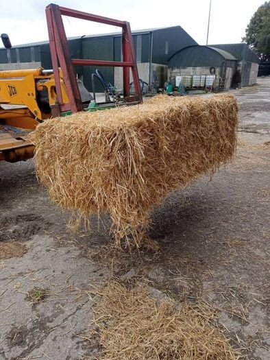 last year's barley straw