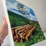 Landscape oil painting in rolled canvas Image 3