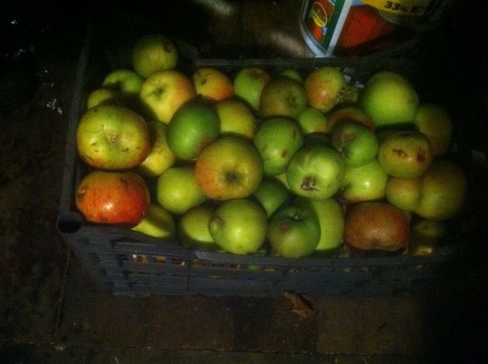 Cooking Apples