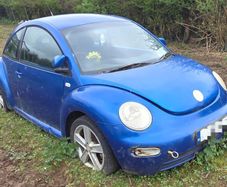 Volkswagen Beetle 1.9 TDI