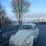 Volkswagen Beetle 1963 Image 4