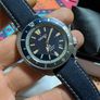 Seiko Land Turtle Image 2