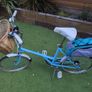 Vintage Bicycle Image 3