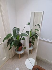 Full length Standing Mirror with Storage