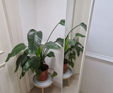 Full length Standing Mirror with Storage
