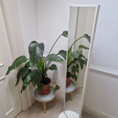 Full length Standing Mirror with Storage