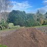sand,stone,topsoil,pebble,gravel,stone Image 3
