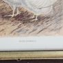 Beautiful Poltry Print Nicely Framed In Good Condition. See Photos For Same. Image 6