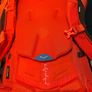 bag Image 9