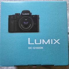 Panasonic Lumix DC-G100D Mirrorless Camera Kit with G Vario Lens F3.5-5.6, USB-C, Black, with a Patona spare battery & Type-C travel charger