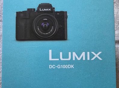 Panasonic Lumix DC-G100D Mirrorless Camera Kit with G Vario Lens F3.5-5.6, USB-C, Black, with a Patona spare battery & Type-C travel charger