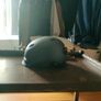 Scooter helmet Image 3