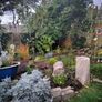 Soft landscaping services North Dublin Image 3