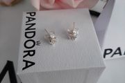new genuine pandora star earrings