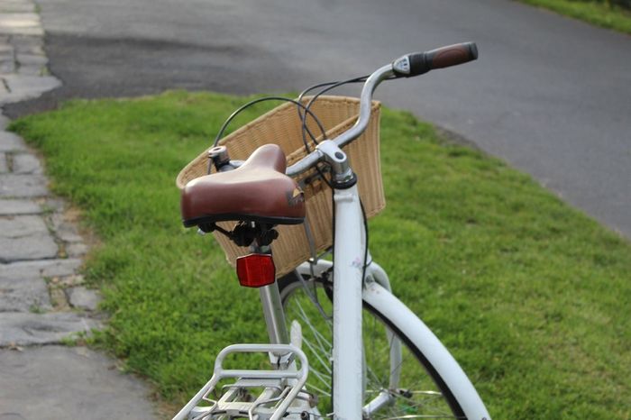 Ladies Bike Raleigh Caprice - 3 Speed Internal Gears Basket included