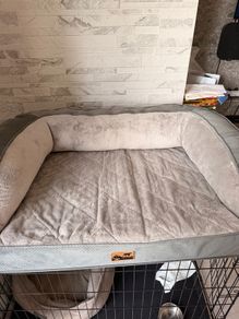 dog bed
