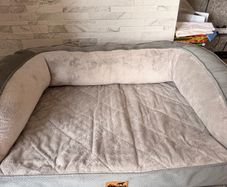 dog bed