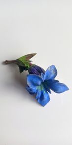 Vintage celluloid bluebell wildflower brooch pin