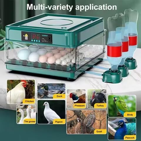 24 Egg Automatic Incubator with Auto Water Refill Digital Temperature Control & Humidity System