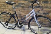 ladies city bike( can deliver)