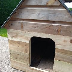 dog kennel