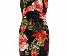 Karen Millen Dress