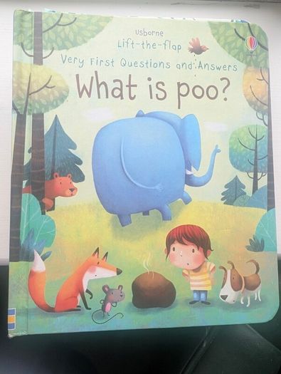 Usborne pop-up books