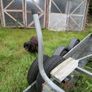 Boat trailer Image 4