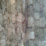 Large Window Curtains Image 6