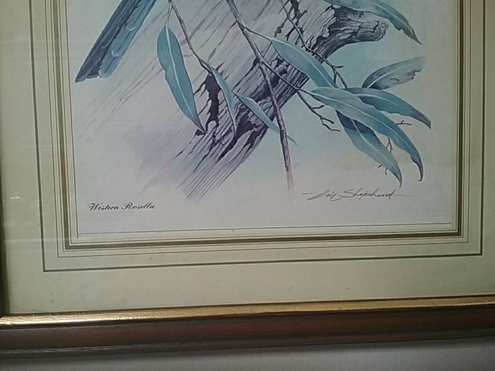 Framed Print of Two Birds
