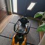 Push-Along Car Image 3