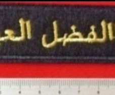 Syrian Civil War , Abu al -fadl al-abas brigade  , pro assad militia.