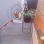 mirror and matching plant stand Image 3