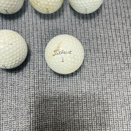 Titleist Pro V1 Golf Balls - Premium Used Golf Balls