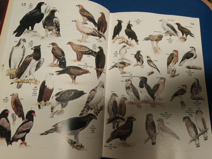 Roberts' Birds of Southern Africa