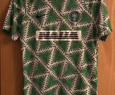 Nike Nigeria 2022-23 Pre-Match training shirt