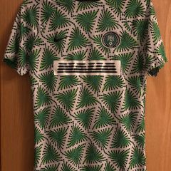 Nike Nigeria 2022-23 Pre-Match training shirt
