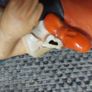 2 large Hummel style figurines Image 3