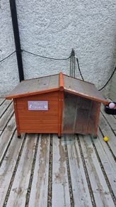 XL Dog House