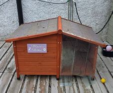 XL Dog House
