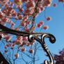 Garden Benches (Delivery Available) Image 8